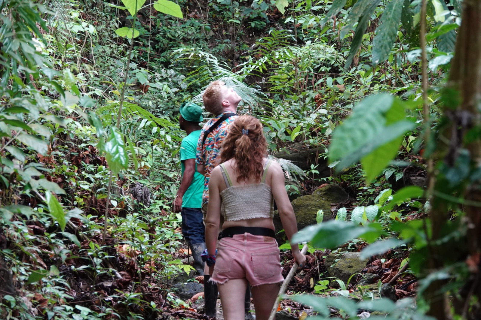 Recorriendo el sendero de Monkey's Creek