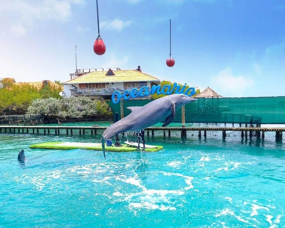Oceanario Islas del Rosario desde Cartagena