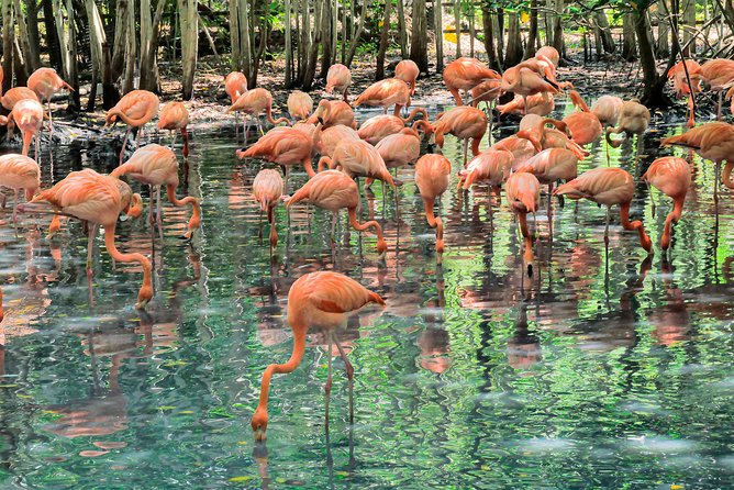 Aviario Nacional - Cotelco - Cartagena de Indias