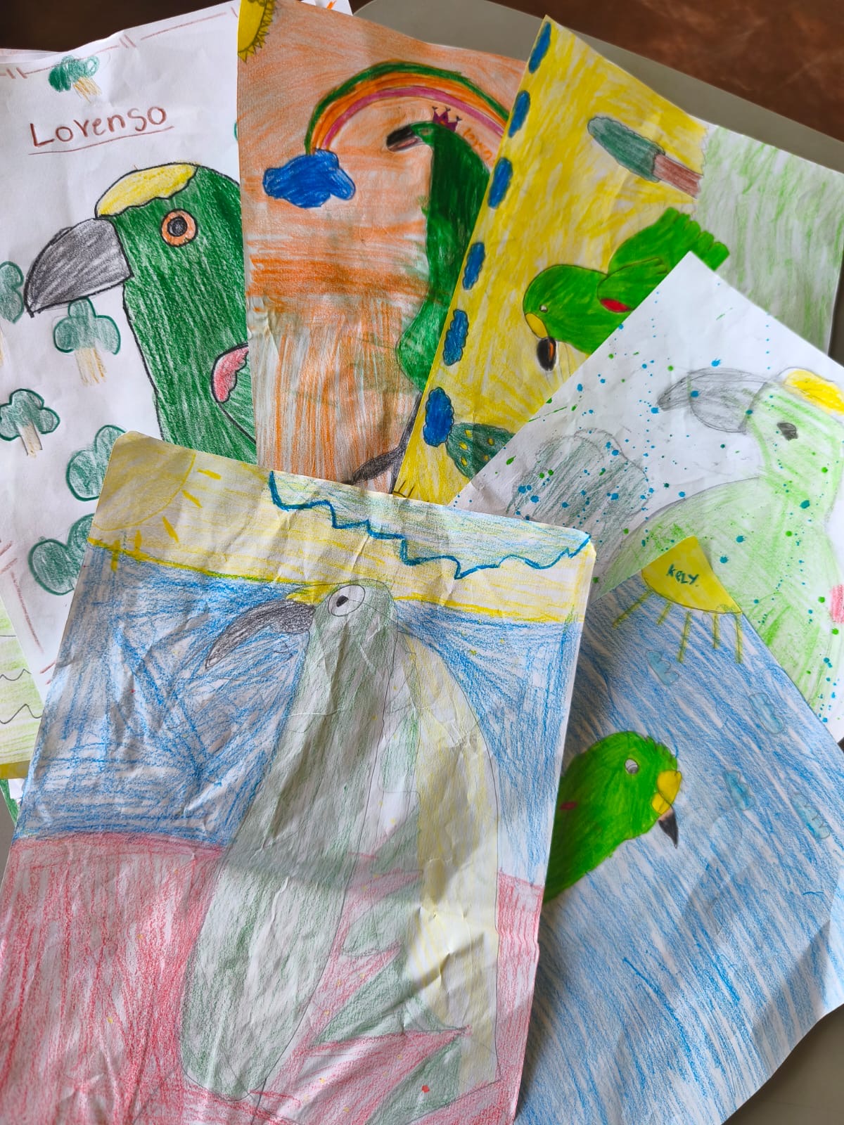 Zeichnungen von Lorenzo, gemalt von den Schülern